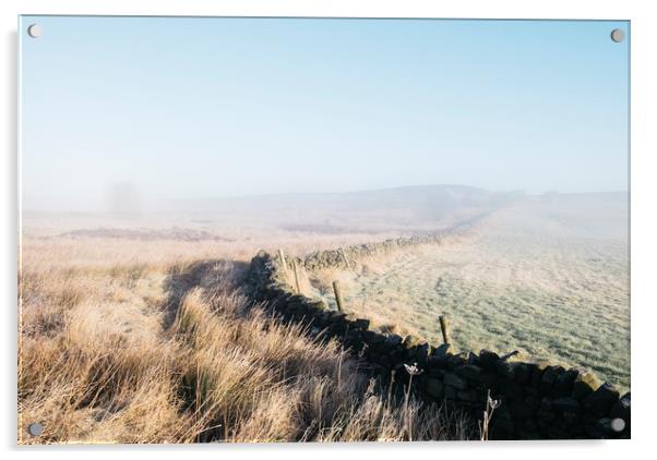 Curved wall in the frost and fog on Beeley Moor at Acrylic by Liam Grant