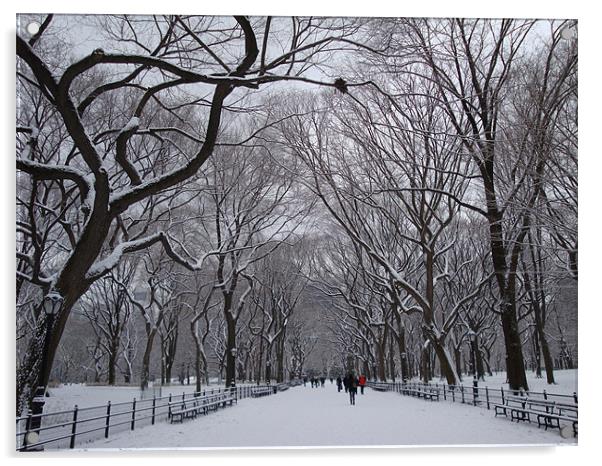 Central Park Acrylic by Mark Burnett