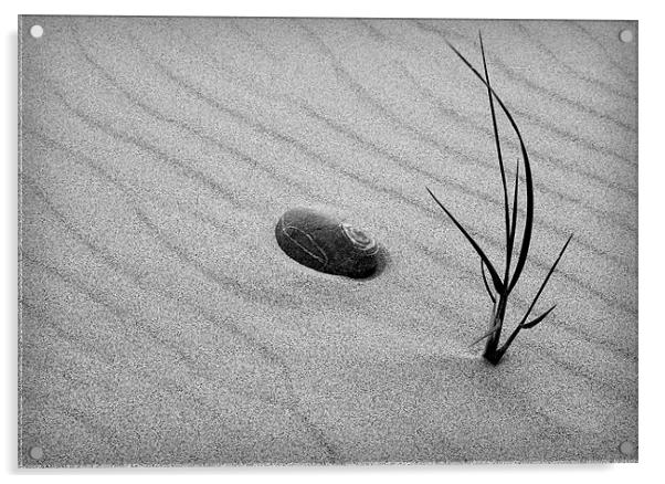 SAND GRASS Acrylic by Anthony R Dudley (LRPS)