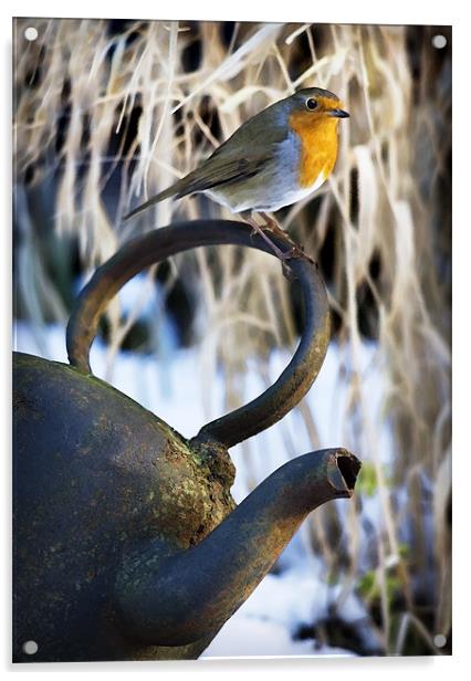 ROBIN AND KETTLE Acrylic by Anthony R Dudley (LRPS)