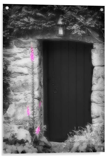 THE SECRET DOOR Acrylic by Anthony R Dudley (LRPS)