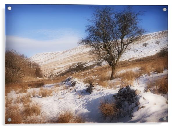 WINTER HAWTHORN Acrylic by Anthony R Dudley (LRPS)