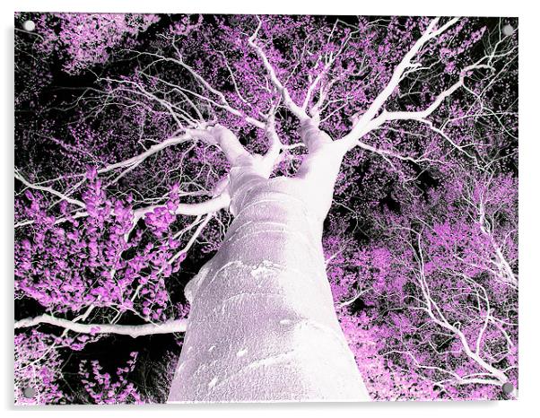 Psychedelic Tree Acrylic by stephen walton