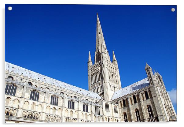 Norwich Cathedral Acrylic by stephen walton