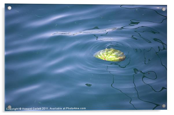 Floating melon Acrylic by Howard Corlett