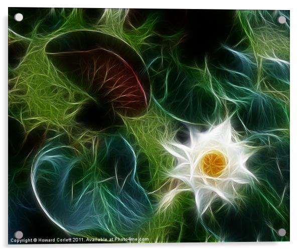 Lily pond Acrylic by Howard Corlett