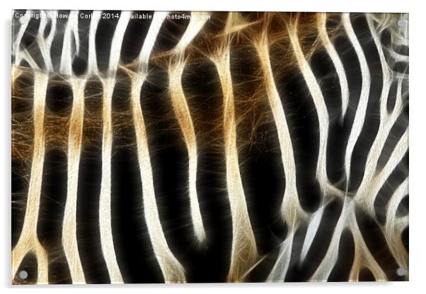 Zebra fractal  Acrylic by Howard Corlett