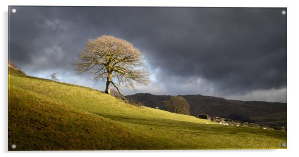 The lone tree Acrylic by Simon Wrigglesworth