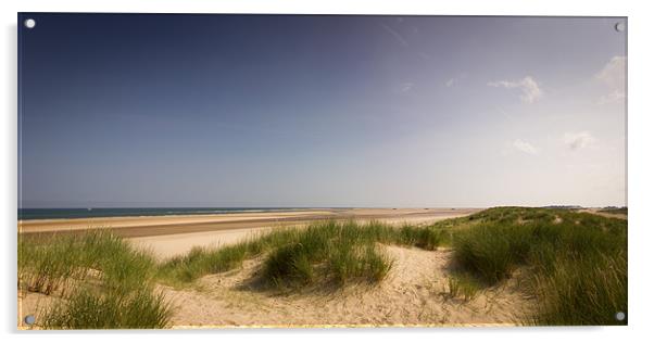 Summer Dunes Acrylic by Simon Wrigglesworth
