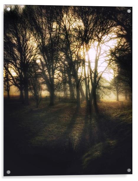 Spooky Woodland Acrylic by Simon Wrigglesworth