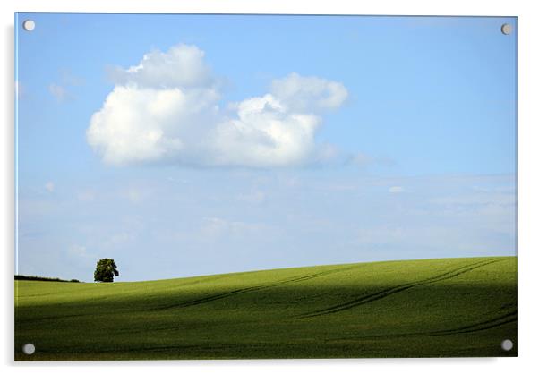 Alone on a Hill Acrylic by graham young