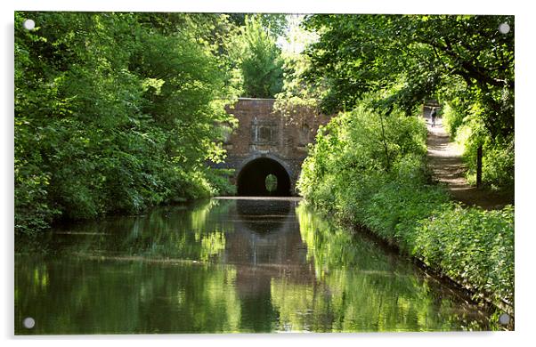 Brandwood Tunnel Acrylic by graham young