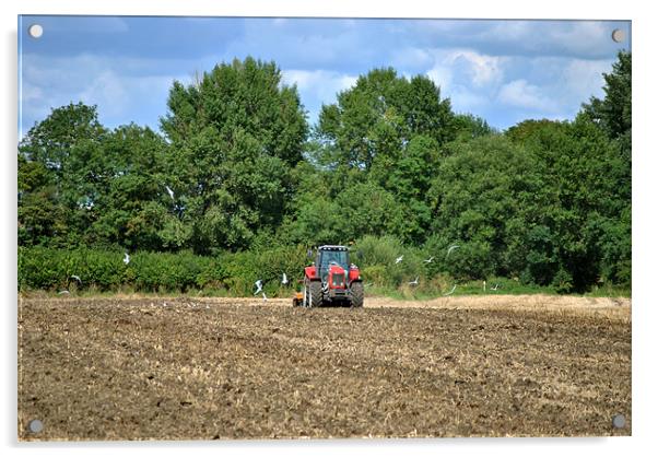 Following the Plough Acrylic by graham young