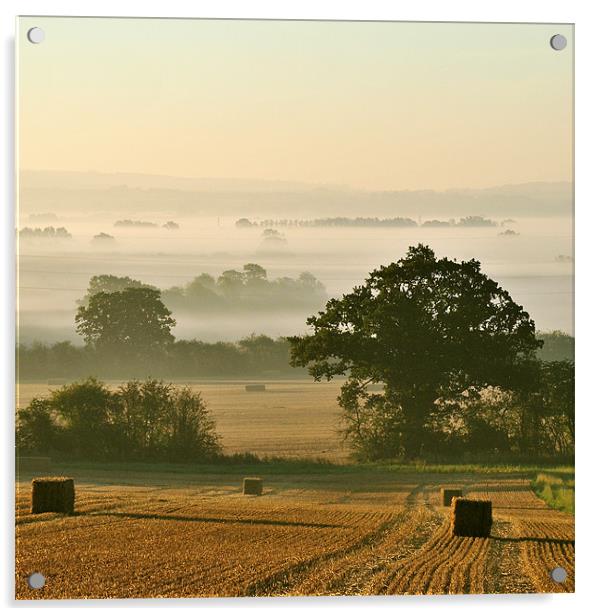 Chiltern Mist Acrylic by graham young