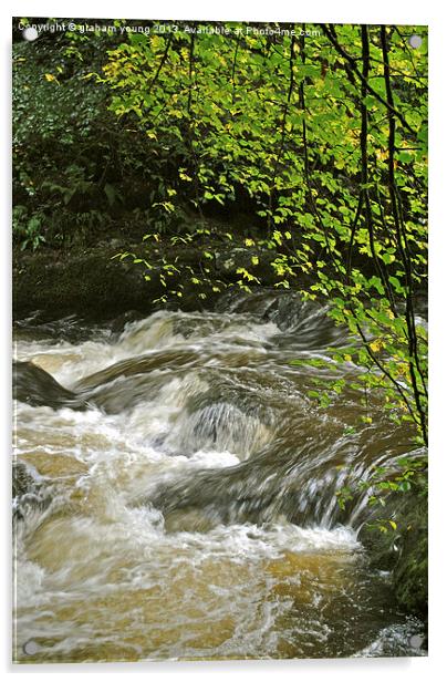 An Exmoor Stream Acrylic by graham young