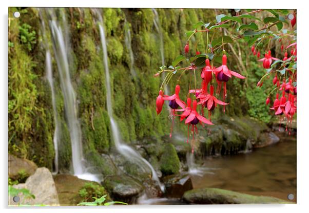 Fuschia and Waterfall  Acrylic by graham young