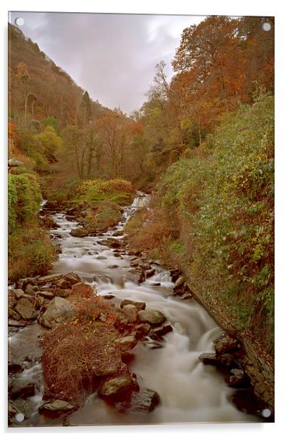 glen lyn Gorge in autumn  Acrylic by graham young