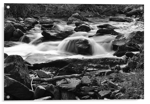 a rocky stream on exmoor b+w Acrylic by graham young