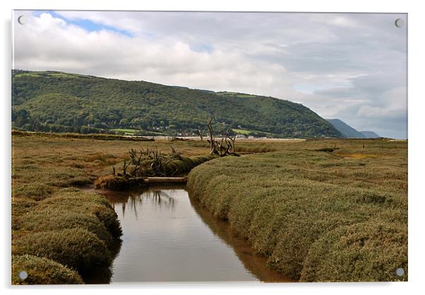 Sparkhayes Marsh Acrylic by graham young