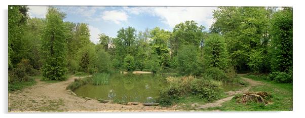 The Apostles Pond, Chipperfield Acrylic by graham young