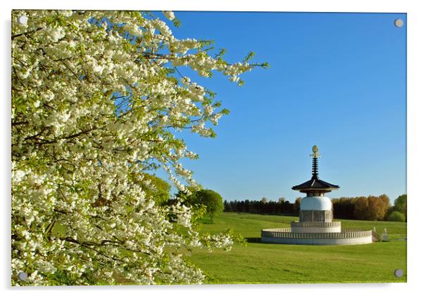 The Peace Pagoda at Willen Acrylic by graham young