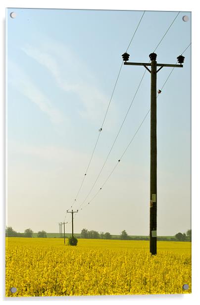 Rape Field With Telegraph Poles Acrylic by graham young