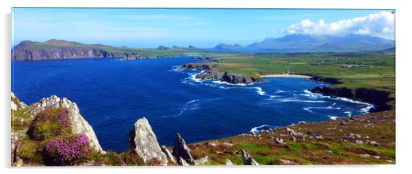 View from Clogher Head Acrylic by Steve Strong