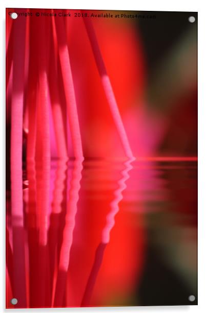 Fuchsia Pink Acrylic by Nicola Clark