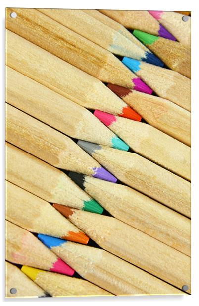 Pencils Acrylic by Nicola Clark