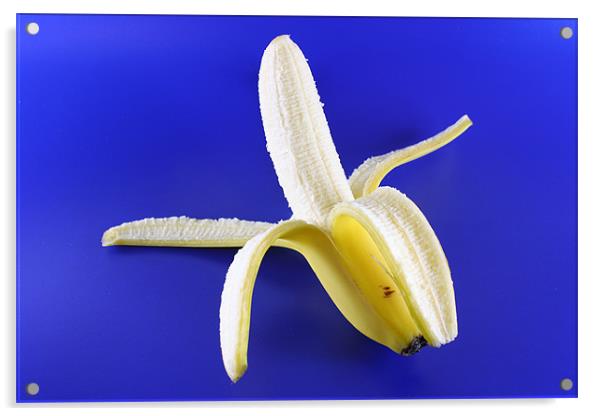 Banana Acrylic by Nicola Clark