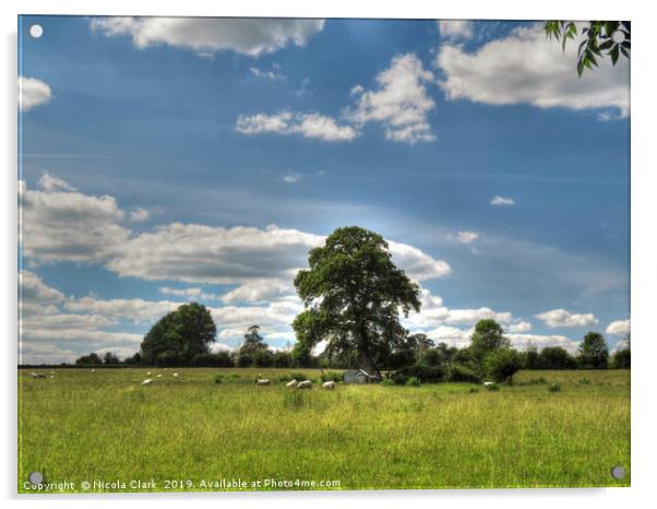 Rural Wiltshire Acrylic by Nicola Clark