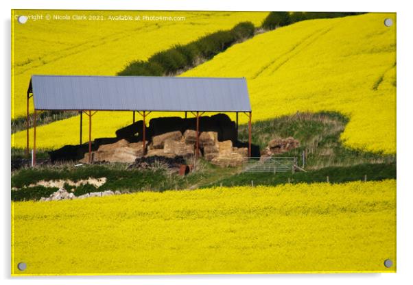 Barn In The Yellow Fields Acrylic by Nicola Clark