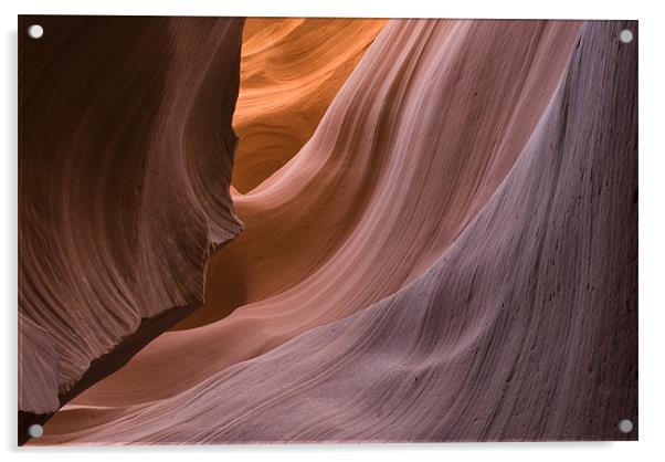 Antelope Canyon Acrylic by Michael Treloar