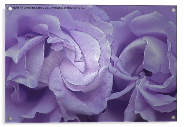 Silk Petals Acrylic by Christine Lake