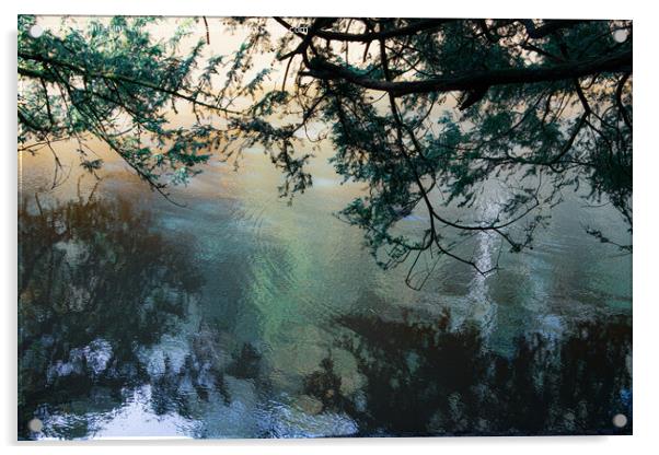 Watery Reflections Acrylic by Christine Lake