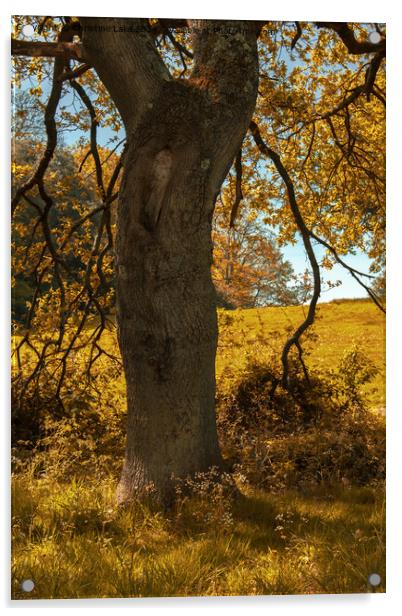 Autumn Gold 2 Acrylic by Christine Lake