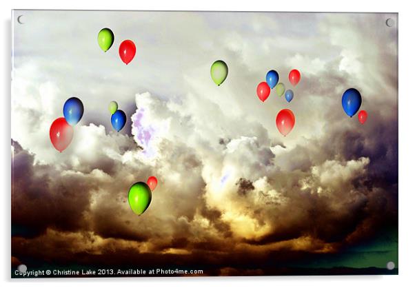 Flying High Acrylic by Christine Lake