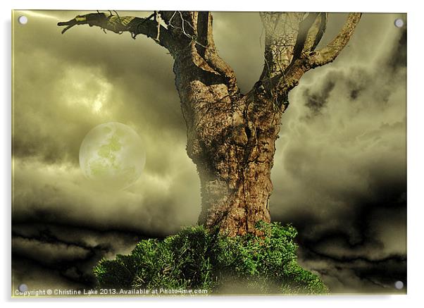Tree Dreams Acrylic by Christine Lake