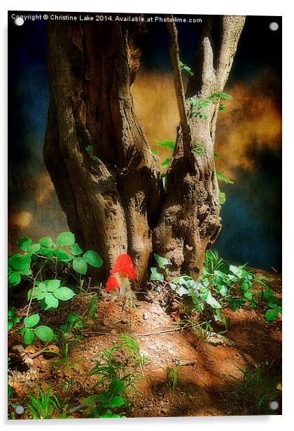  A Woodland Dream Acrylic by Christine Lake