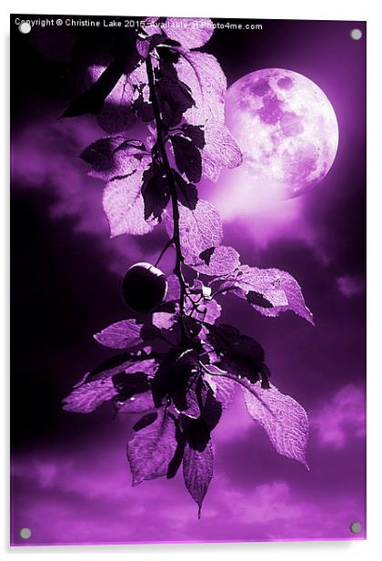  Purple Dream Acrylic by Christine Lake