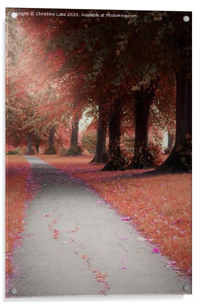 Path Through The Wood Acrylic by Christine Lake