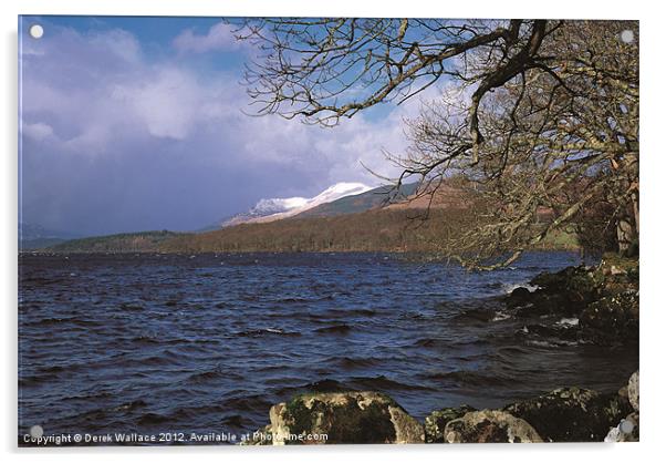 Loch Lomond Acrylic by Derek Wallace