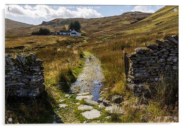 Mosedale Cottage Acrylic by David Lewins (LRPS)