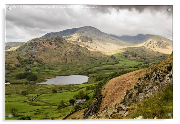 Little Langdale Tarn Acrylic by David Lewins (LRPS)