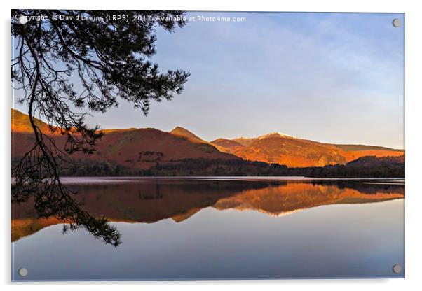 Catbells Reflection Acrylic by David Lewins (LRPS)