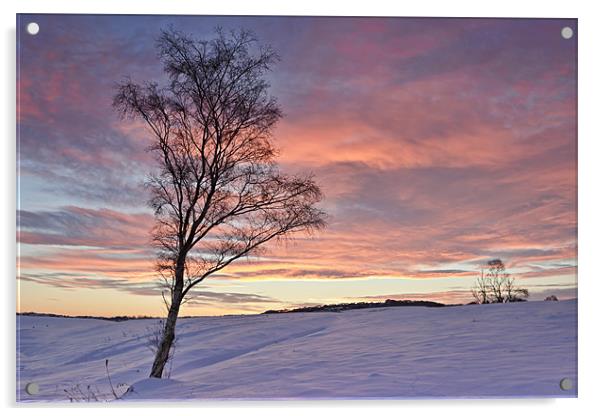 Winter Sunset - Waldridge Fell, Country Park. Acrylic by David Lewins (LRPS)