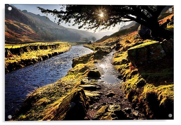 Watendlath Beck, Watendlath, Cumbria Acrylic by David Lewins (LRPS)