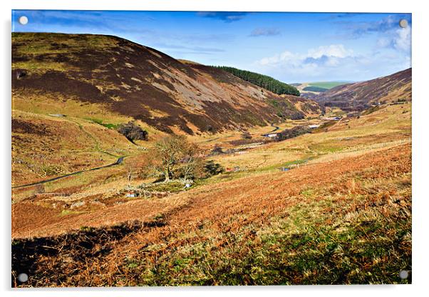 Harthope Burn, Northumberland National Park Acrylic by David Lewins (LRPS)