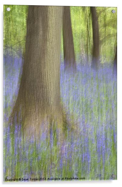 Bluebell Wood, Norfolk Acrylic by Dave Turner