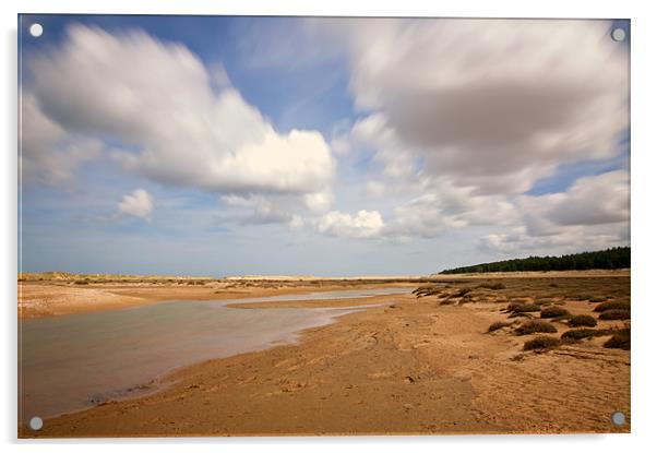 Holkham Tranquility Acrylic by Robert Geldard